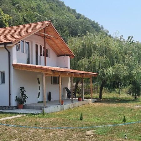 Vila Legrand Bazias Екстериор снимка